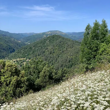Le Mafate - Vallee De L'eyrieux * Saint Maurice en Chalencon